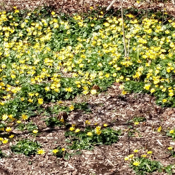 Meet your Posher, Scott - Picture 1 of 1